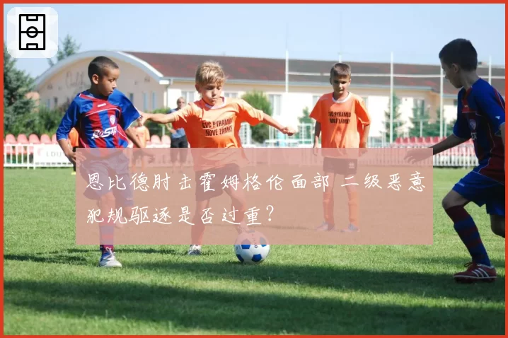 恩比德肘击霍姆格伦面部 二级恶意犯规驱逐是否过重?