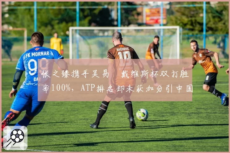 张之臻携手吴易昺戴维斯杯双打胜率100%，ATP排名却未获加分引中国球迷不满