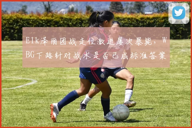 Elk泽丽团战走位激进屡次暴毙，WBG下路针对战术是否已成标准答案？