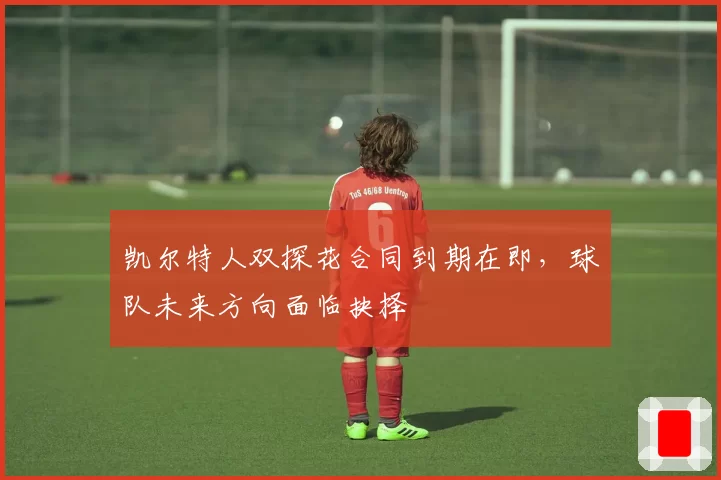 凯尔特人双探花合同到期在即，球队未来方向面临抉择