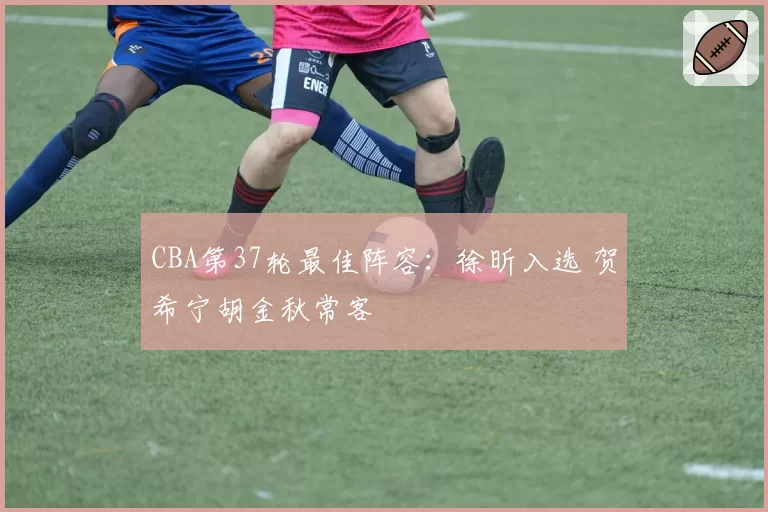 CBA第37轮最佳阵容：徐昕入选 贺希宁胡金秋常客