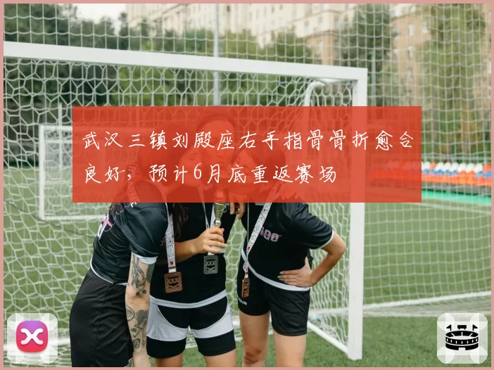 武汉三镇刘殿座右手指骨骨折愈合良好，预计6月底重返赛场